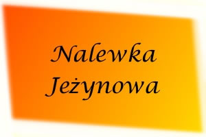 Nalewka Jeżynowa
