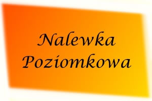 Nalewka Poziomkowa