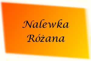 Nalewka różana