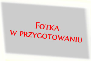 Zupa francuska	